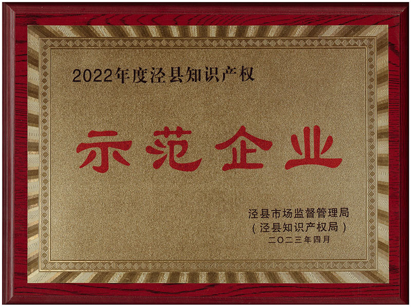 2023年涇縣知識產權示范企業(yè)